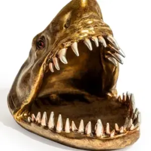 MG Shark Storage Dish