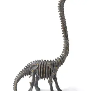 MG Brachiosaurus Dinosaur Skeleton Ornament