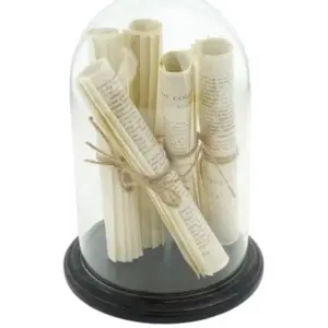 MG Glass Dome/Cloche w/ Paper Scrolls on Black Base