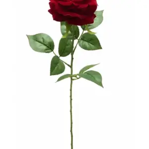 MG Single Red Rose Stem
