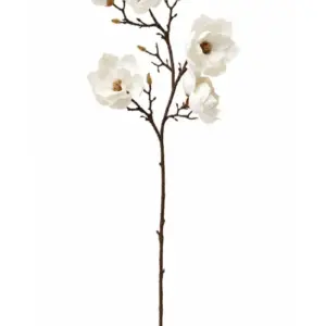 MG Magnolia Branch Stem