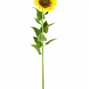MG Giant 185cm Sunflower