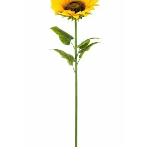 MG Extra Large 115cm Sunflower