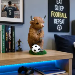Highland Cow With Football